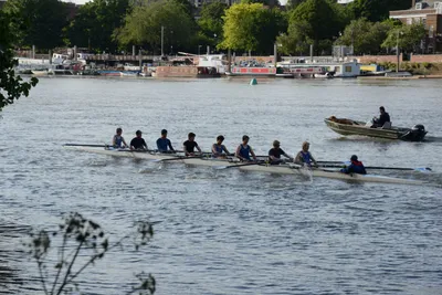 DSC_2505 (Large).JPG